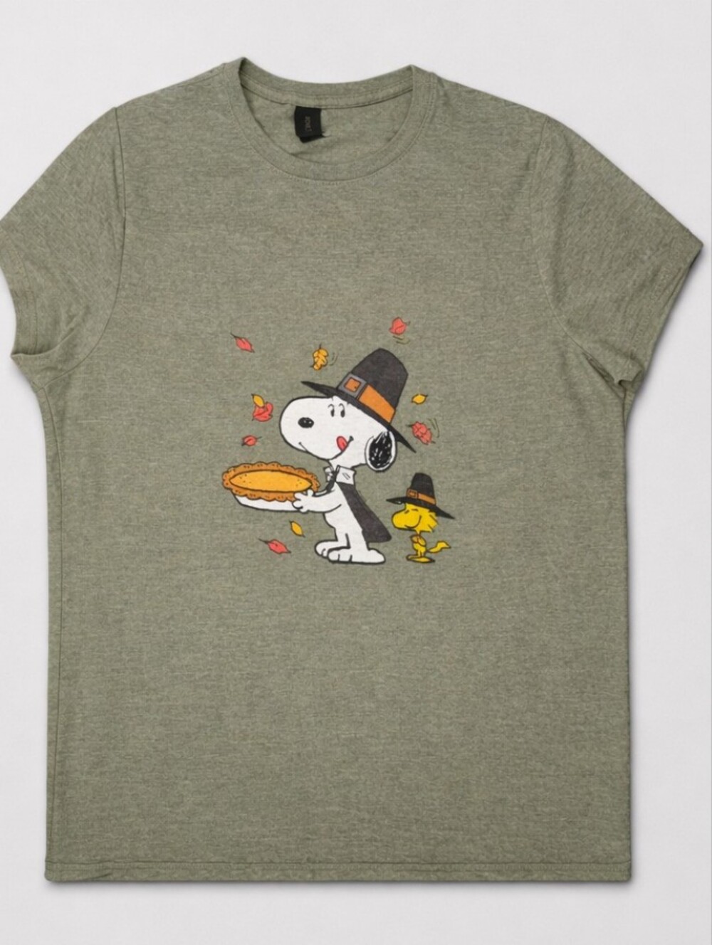 Peanuts Snoopy & Woodstock Thanksgiving/Autumn Tee